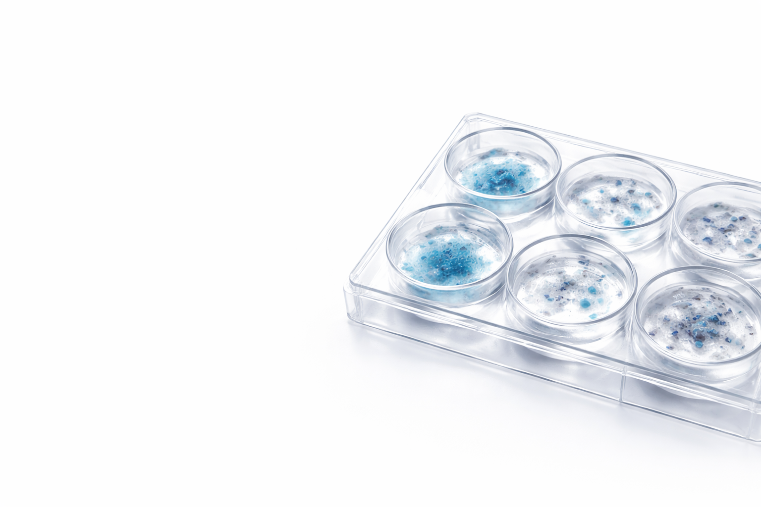  CTC药敏试验服务